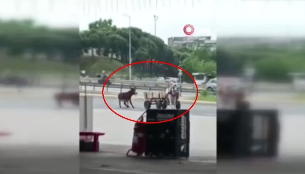 Eşeği at arabasına bağlayıp sürükledi, sopayla dövdü