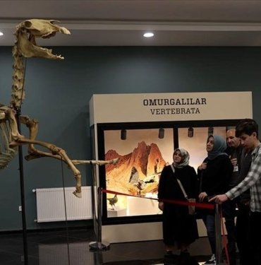 Sivas’taki müzede tabiat tarihi 3 bin örnekle anlatılıyor