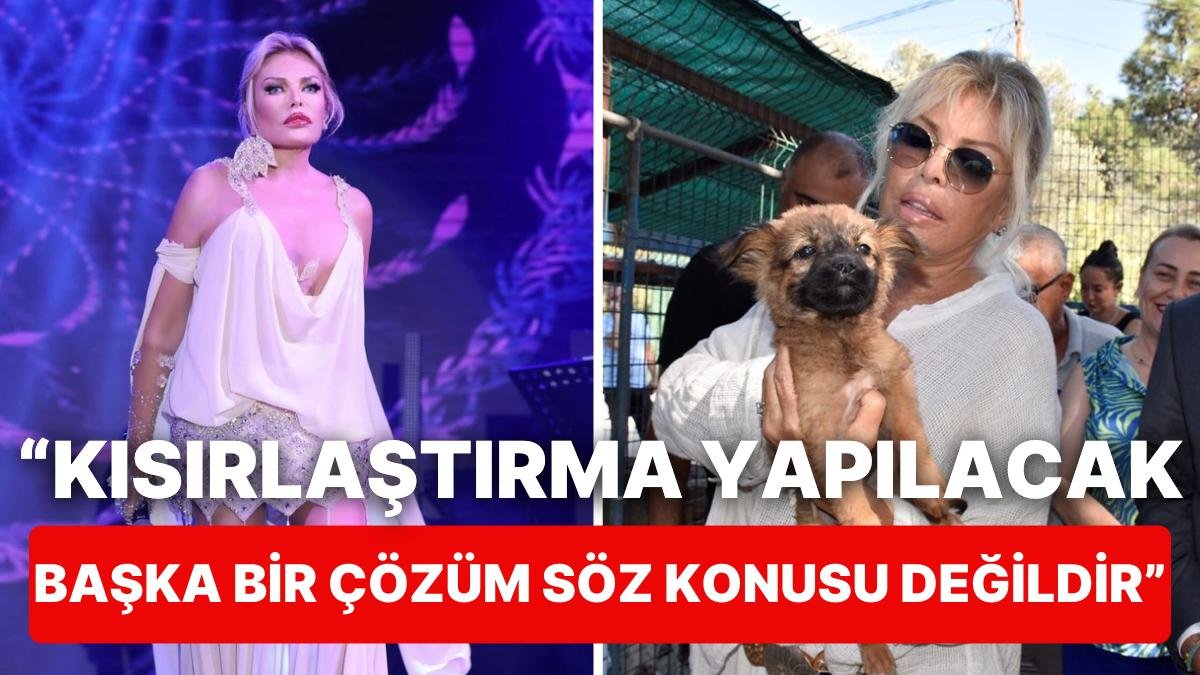 Süperstar Ajda Pekkan’dan Sokak Hayvanları Çağrısı:”Belediyeler Görevini Yapmadığı İçin Onları Öldüremezsiniz”